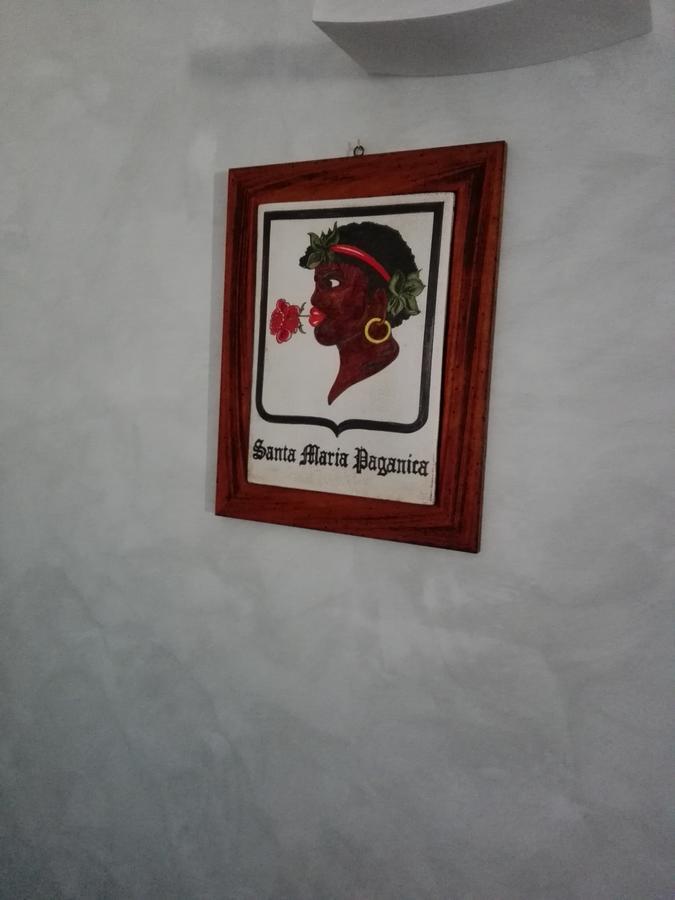 B&B Palazzo Cappa L'Aquila Luaran gambar